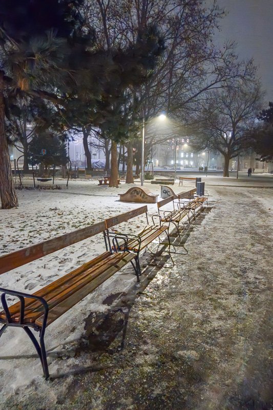 Europe H_1 Snow-dusted park benches under streetlights at night, bare trees and fog, Vienna
