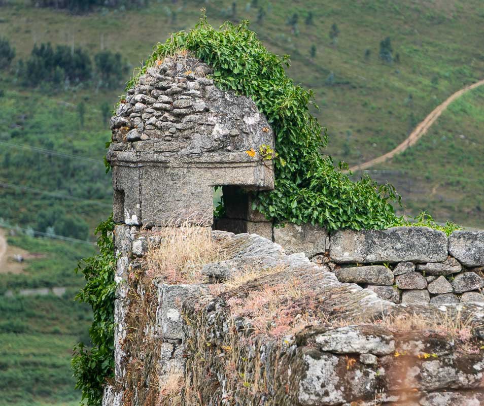 Found_13 Stone ruin overtaken by ivy on a green hillside in Gerês, returning slowly to the landscape