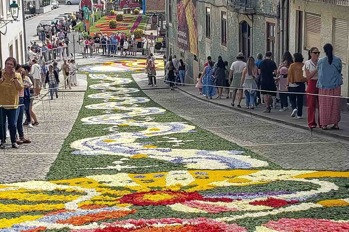 Found_18 Flower carpet in Vila do Conde, Portugal. People lined to witness the beauty of it.