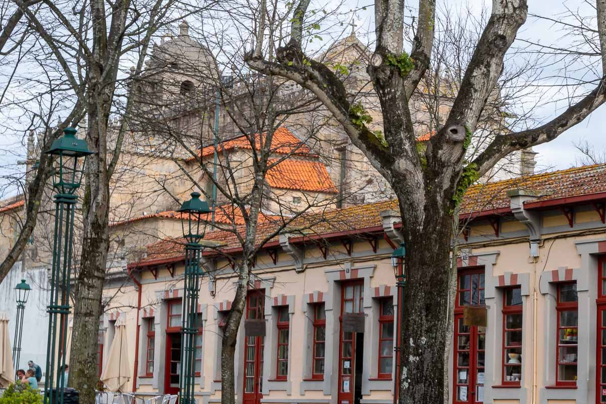 Found_5 Bare trees, red facades, green lamp posts. A Portuguese square being a Portuguese square.