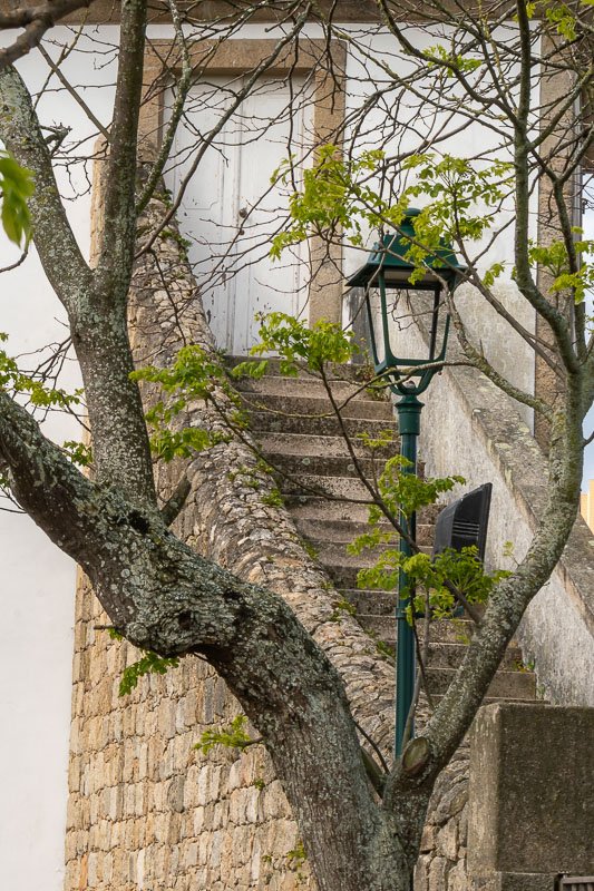 Found_6 Close view of a decorative street lamp against a stone wall with a bare tree heading up a flight of stairs to a white door.