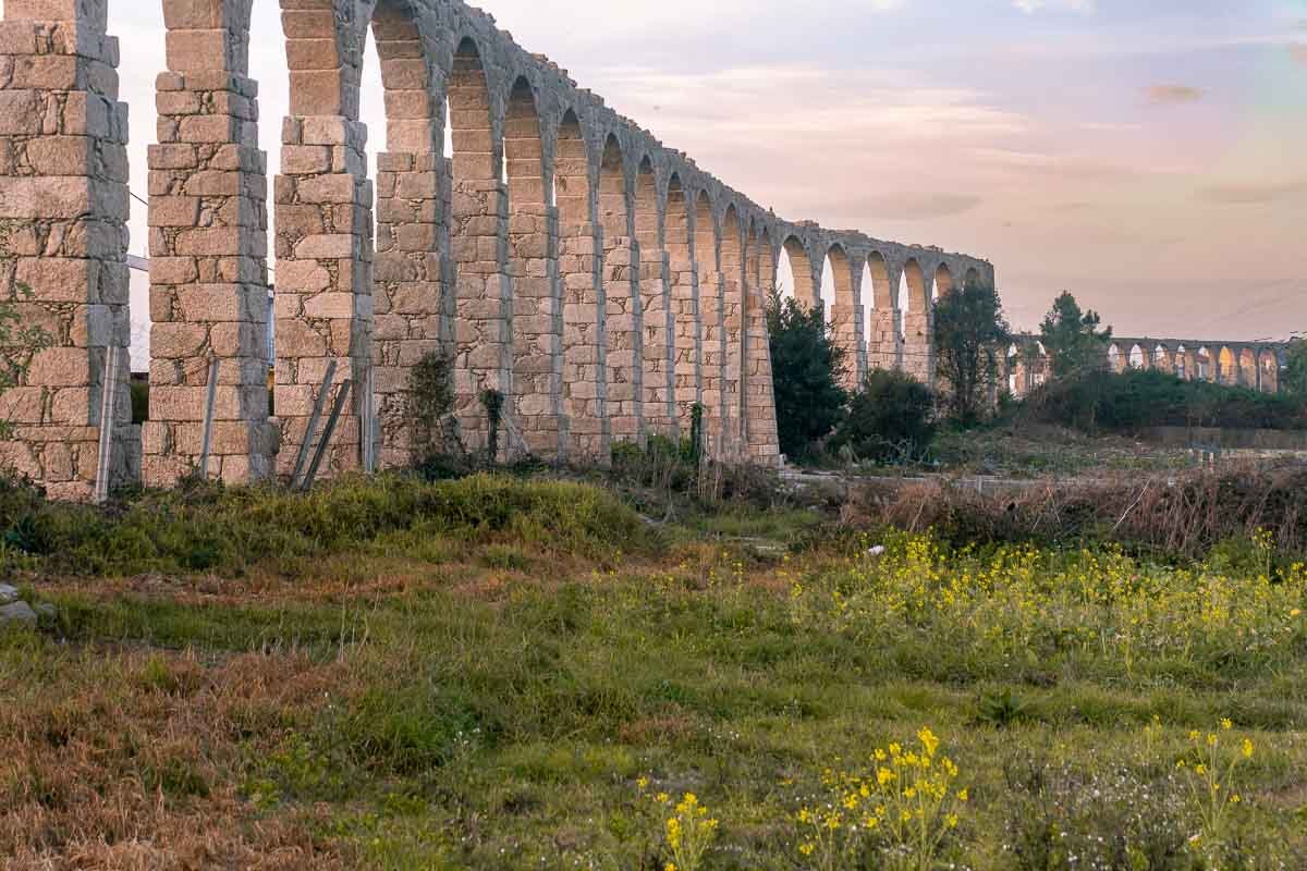 Found_8 Roman aqueduct arches stretching across a flat field of yellow wildflowers.