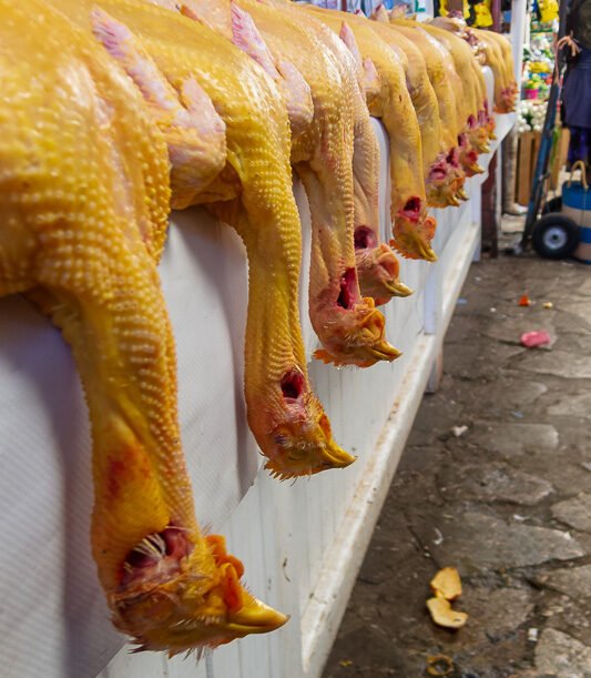 Markets Row of plucked chickens hanging at a market stall, vivid yellow-orange, frank and unsparing