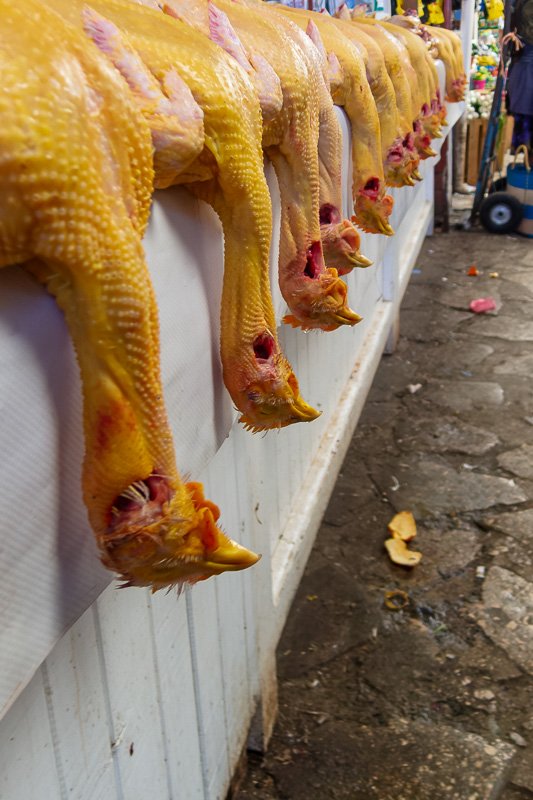 Markets Row of plucked chickens hanging at a market stall, vivid yellow-orange, frank and unsparing