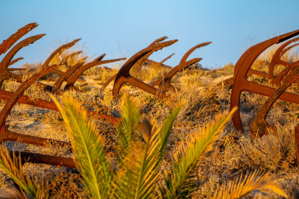 Tavira_6 Rusted anchors in dry grass, Praia do Barril, Tavira