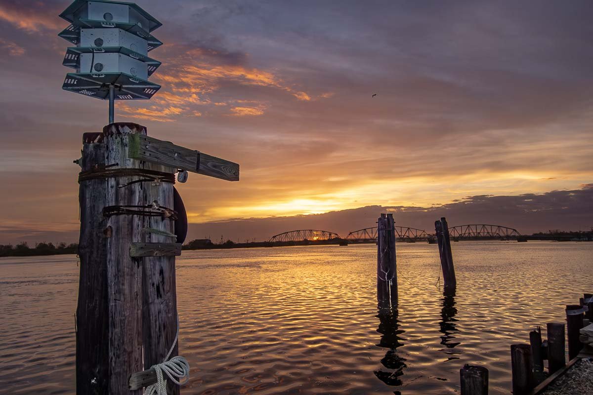 US_Housesit_3